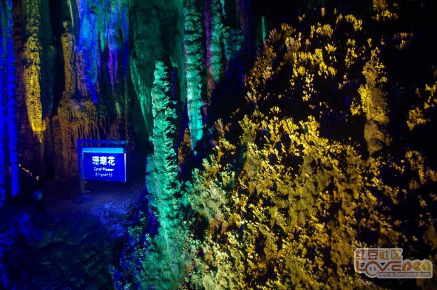 河南嵩县:水美鱼肥庆丰收
