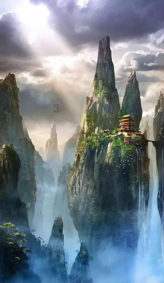 救援受困的火鸡